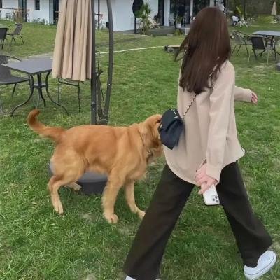 解决师粤语